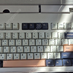 DT35 87 화이트 키보드 저소음라임 V3