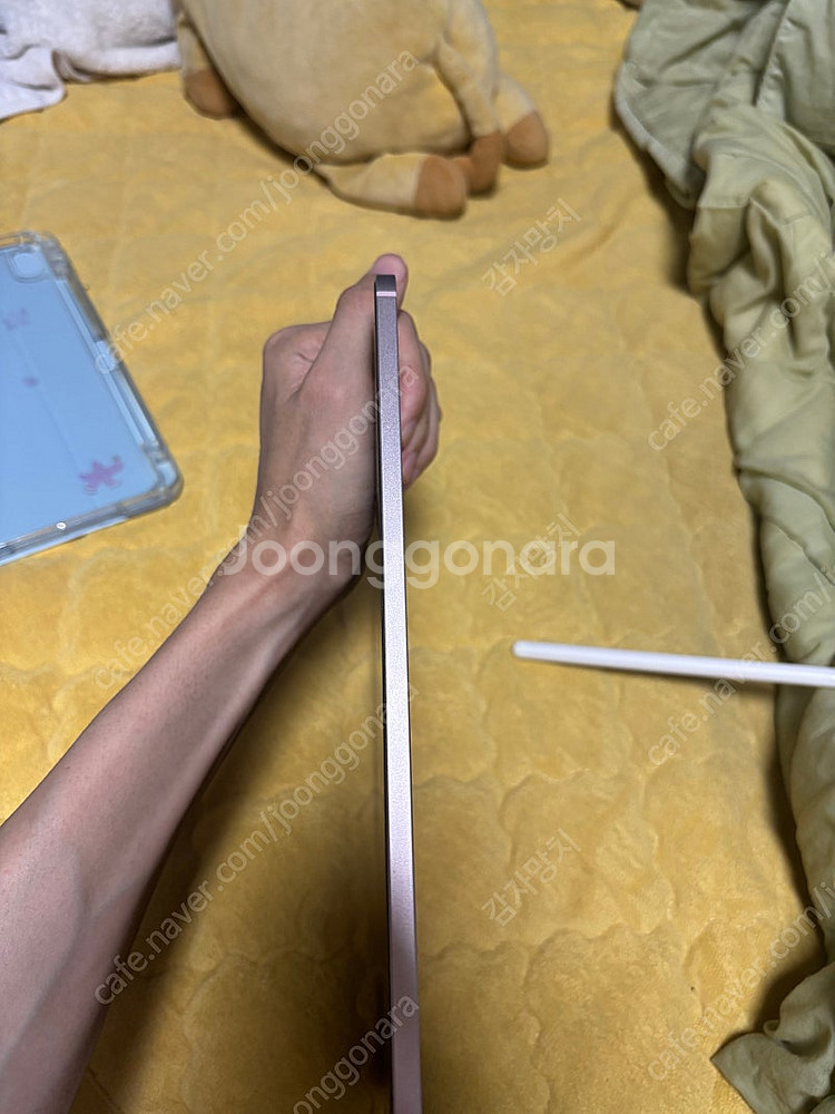 아이패드 에어5 64GB 셀룰러--4