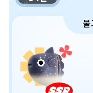틱톡 개복치 팔아요