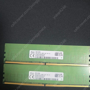 하이닉스 ddr5 5600 a다이 언락 16g 2개