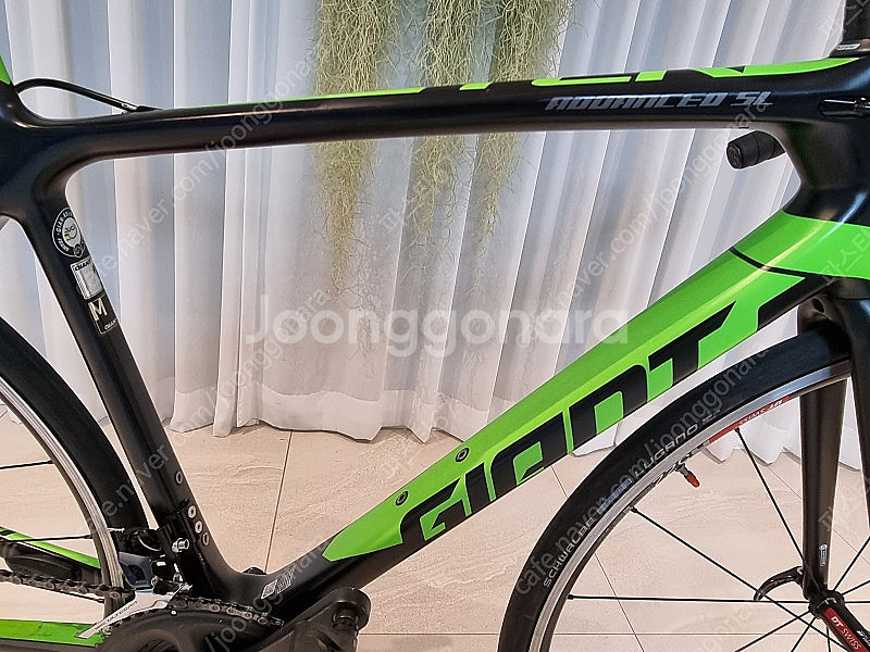 [최상급] 2018 자이언트 TCR ADVANCED S...--4
