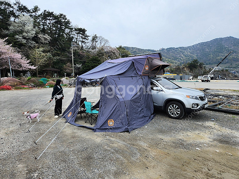 스토리지웍스 루프탑텐트 팝니다--3