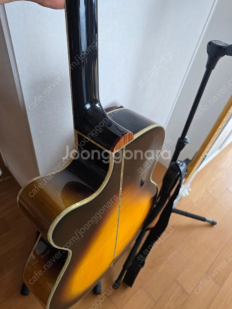selma 기타 (일산)--4