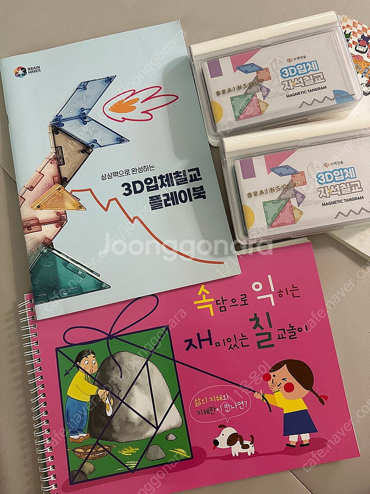 브레인숲 3D 입체 자석 칠교 (2세트)--0