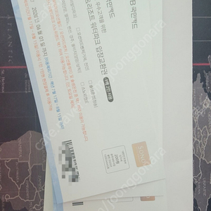 로블 소노호텔 오션월드 워터파크 입장교환권