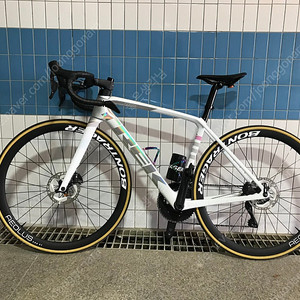 Trek 에몬다 SL7 52사이즈
