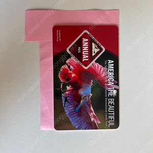 미국 국립공원 애뉴얼패스 판매(26년 6월까지, 택포)