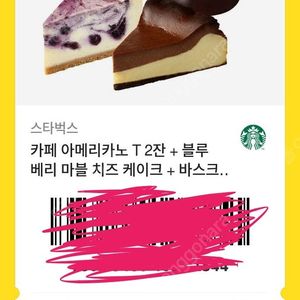 스타벅스 아메리카노 T 2잔 + 블루베리 마블 치즈 케이크 + 바스크 초코 치즈 케이크
