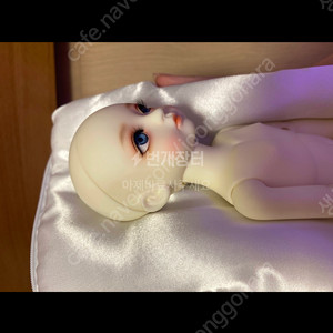 구체관절인형
