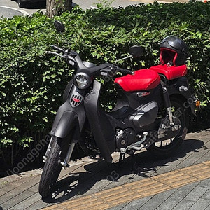 커브 C125 최상급