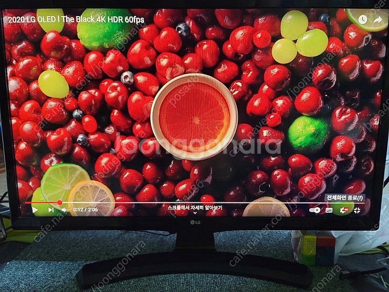 LG전자 TV+모니터 24MT49DF--0
