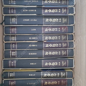 벵겔신약주석
