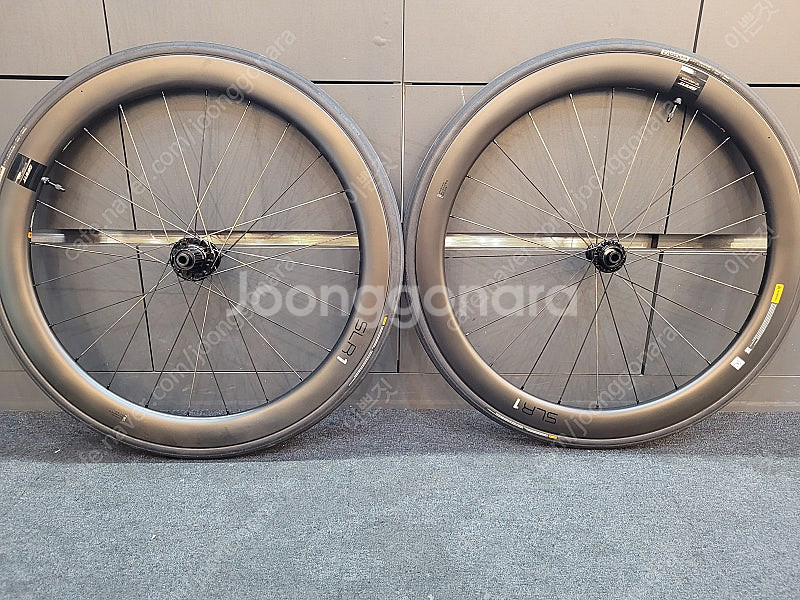 자이언트 SLR-1 50 mm 미사용품 케이덱스 타이어...--0