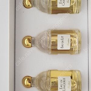새상품)구찌향수 블룸/겔랑향수 라르라마티에르 머스크우트르블랑/로이비향수/미스디올 퍼퓸 블루밍부케 소바쥬 쟈도르/리브르 몽파리 마이셀프/샤넬향수 넘버5 코코마드모아젤 가브리엘 샹스