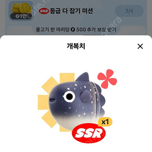 틱톡 피라루쿠 판매해요