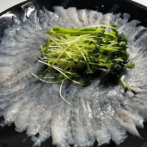 대성마이맥 포인트