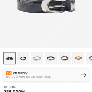 아워레가시 벨트2cm