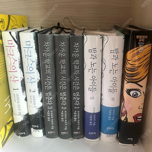 츠지무라 미즈키 다카무라 카오루 차가운 학교의 시간은 멈춘다 밤과 노니는 아이들 마스크스의 산