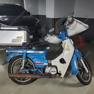 씨티 citi 100