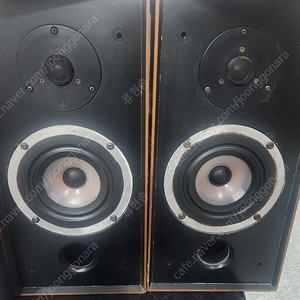 Rogers LS5 (전투형)