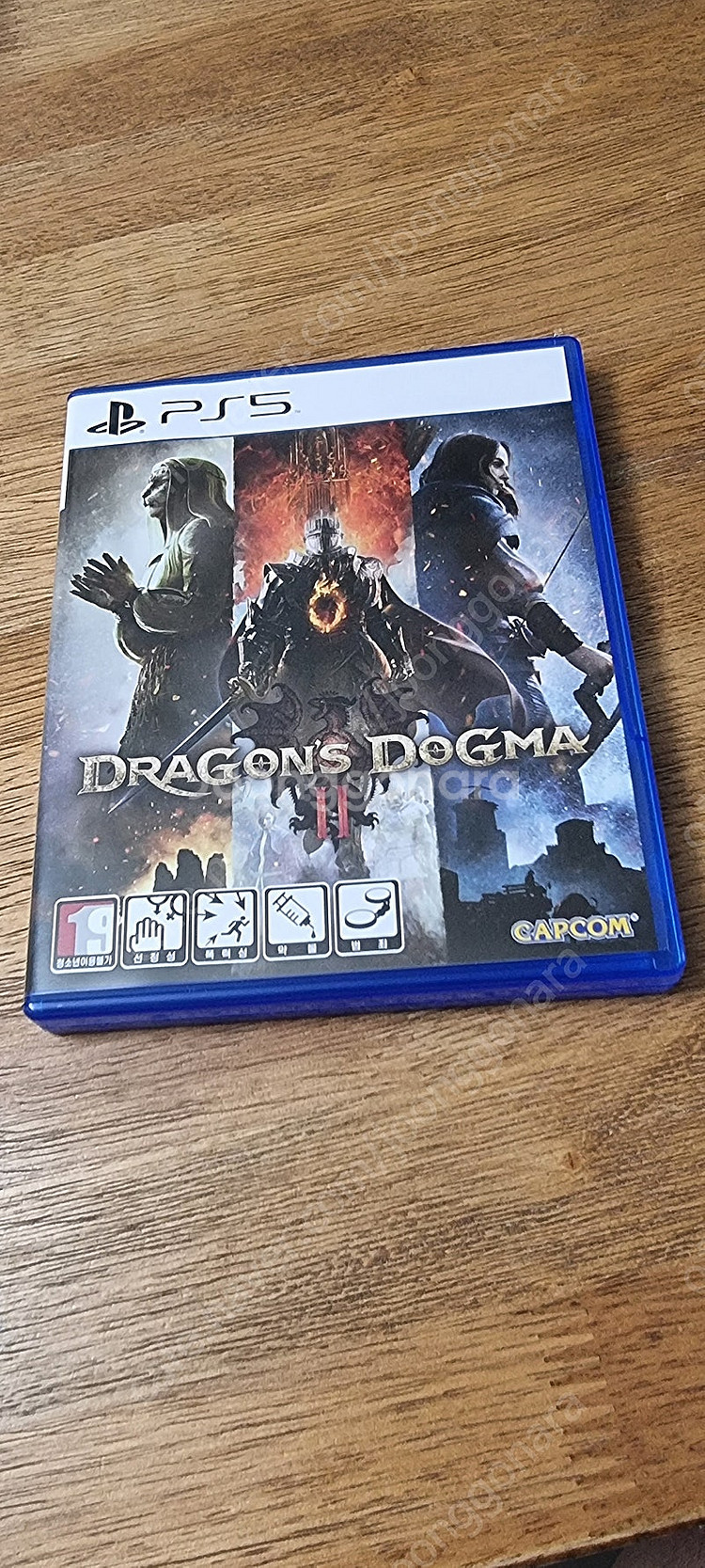 Ps5 드래곤즈 도그마2--0