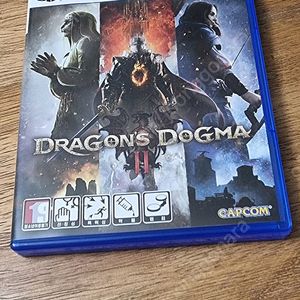 Ps5 드래곤즈 도그마2
