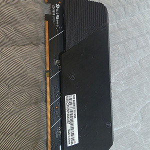 Asus Z590 APEX DIMM.2 카드