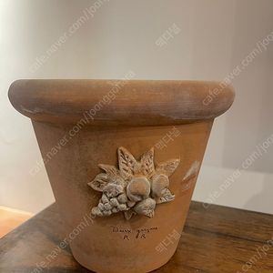 두갸르송 열매토분