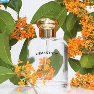 벨망 수제 오스만투스 만리향 금목서향수 OSMANTHUS 50ml 새상품 판매합니다.