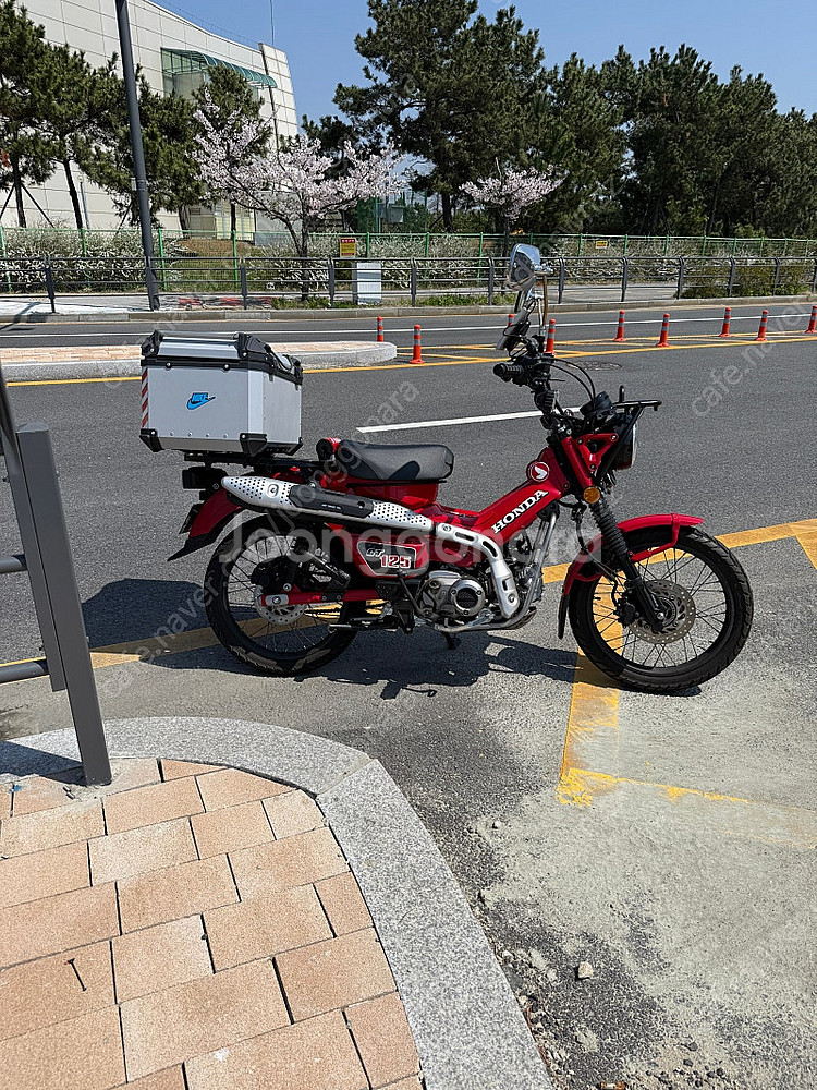 혼다 헌터커브 CT125 레드 판매--1