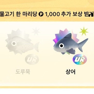 틱톡 라이트 낚시 SR (돌돔, 복어, 참다랑어, 판골린) 개당 400원 팝니다