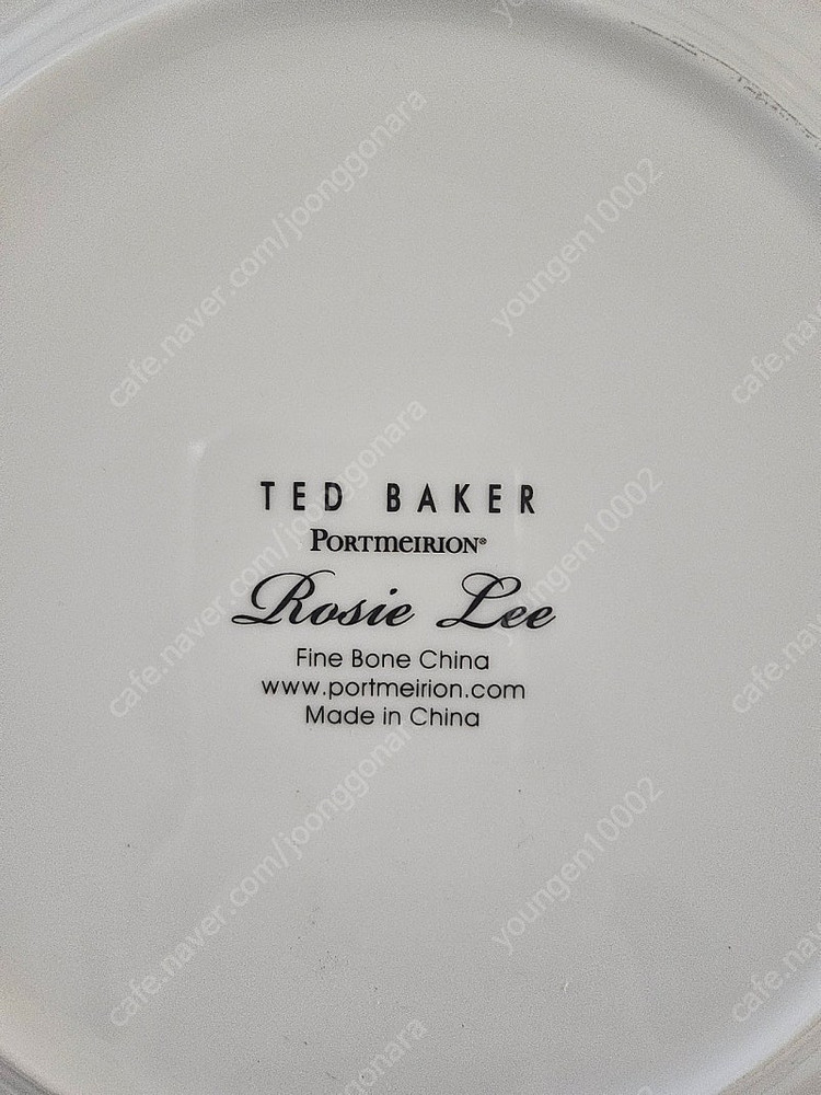 포트메리온 테드베이커 로지리 디너접시 대접시 플레이트. 로얄알버트 웨지우드 노리다케 레녹스 발레로이앤보흐--2