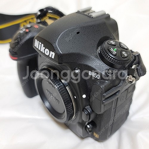 니콘 D850과 렌즈 일괄--2