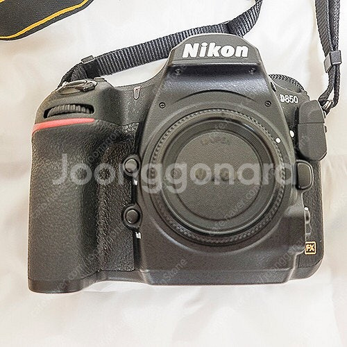 니콘 D850과 렌즈 일괄--3