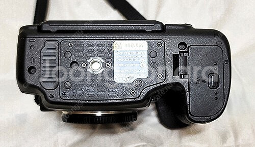 니콘 D850과 렌즈 일괄--5