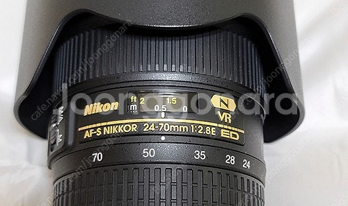 니콘 D850과 렌즈 일괄--6