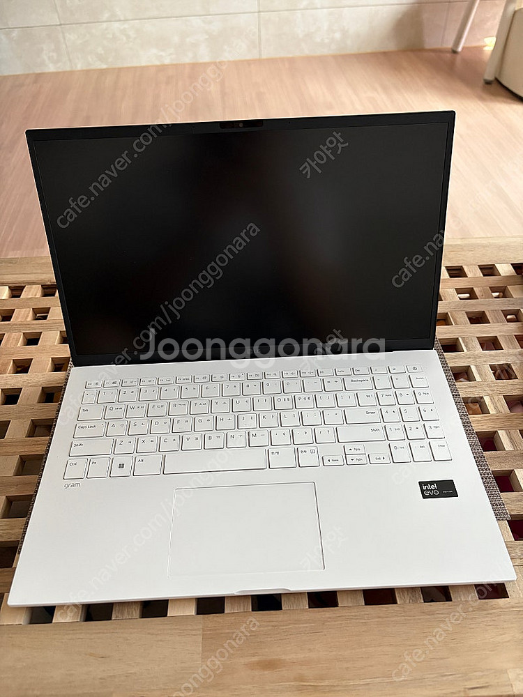 2025년 LG Gram 그램 팝니다--1