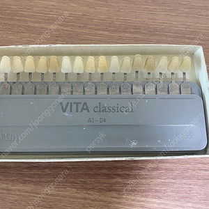 VITA classical A1-D4 치아 미백 색상 쉐이드 가이드 치대생 치과의사 치기공 치기공사