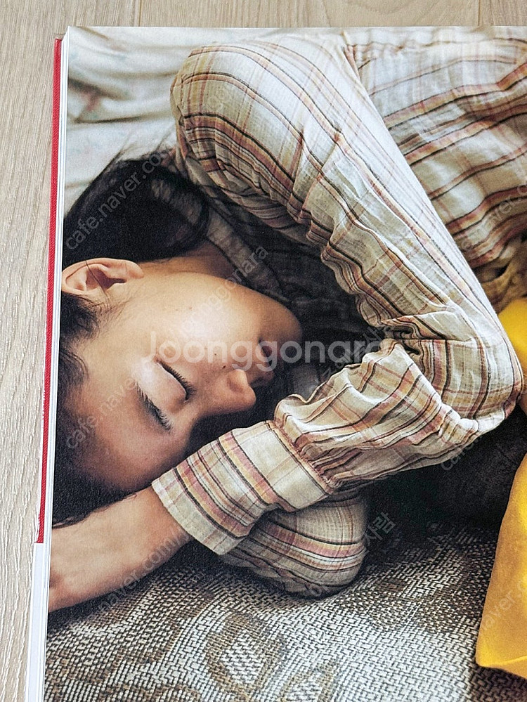 아오이유우 단데라이온 등 사진집, 팜플렛 판매합니다.--3