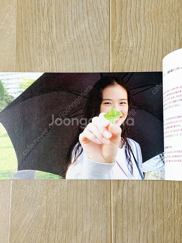 아오이유우 단데라이온 등 사진집, 팜플렛 판매합니다.--7