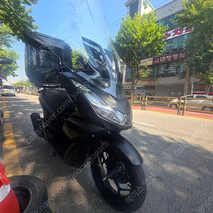 24년식 3만키로 abs pcx 판매 배달셋팅 정비완료