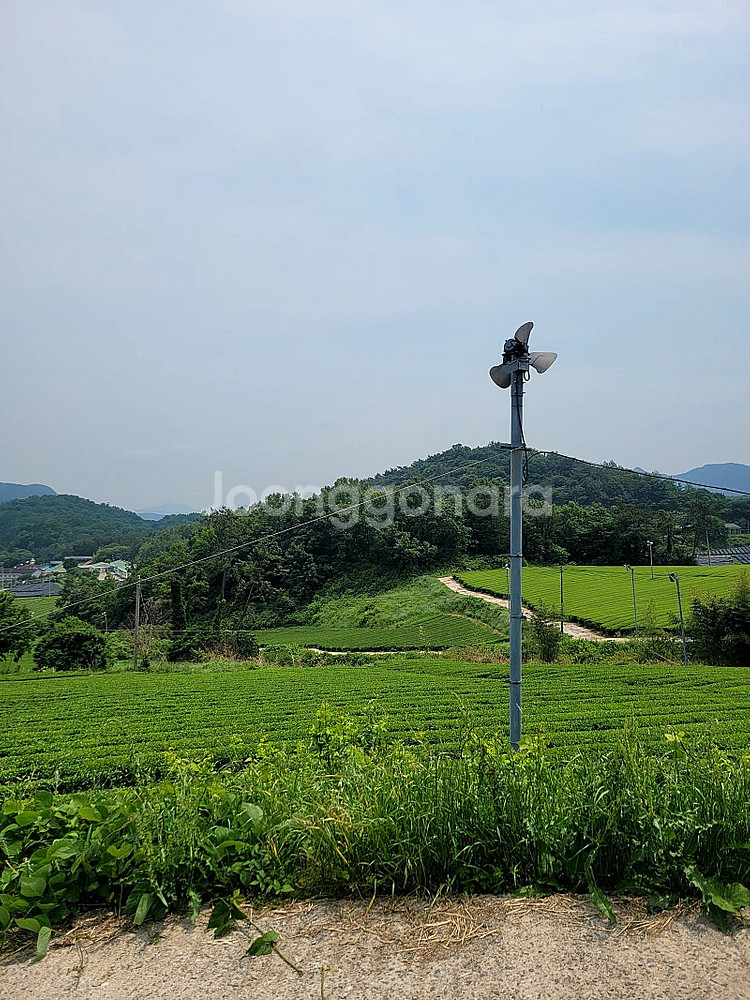 인스타360 에이스프로 삽니다.--0