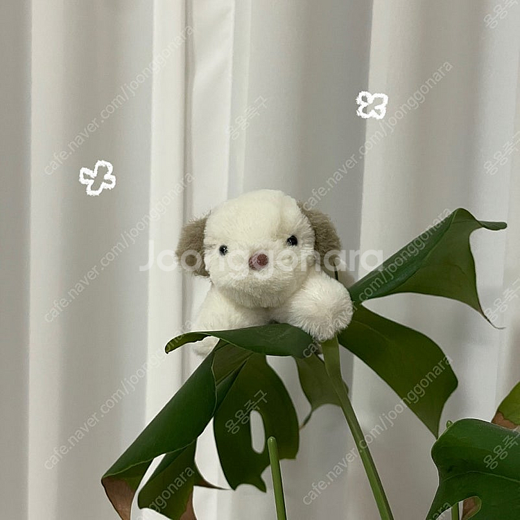 애착 강아지 인형 키링--0