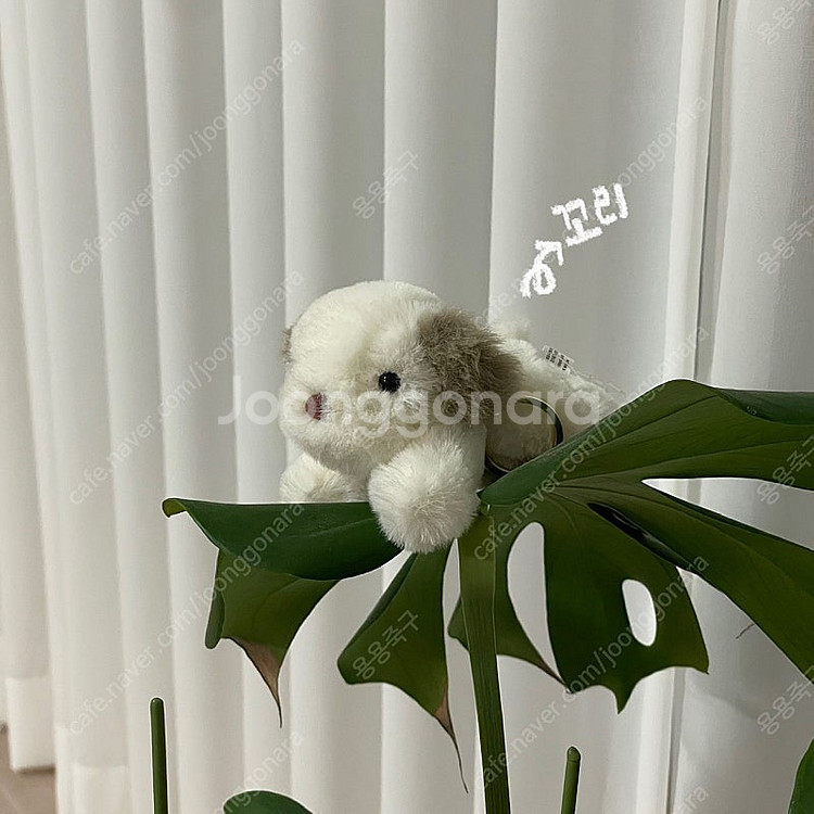 애착 강아지 인형 키링--1