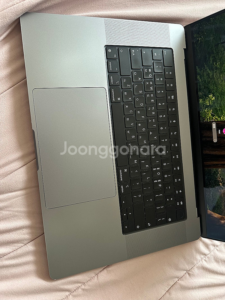 맥북프로 16인치 M1 Max 실버 32GB 1TB 프...--1