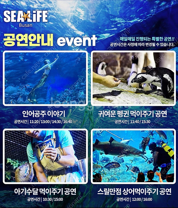 해운대 아쿠아리움 모바일 입장권--0
