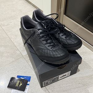 미즈노 모렐리아 살라 재팬 TF 270