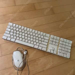 애플 프로마우스 무선키보드