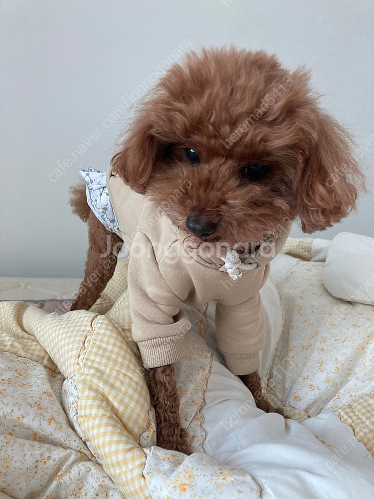 게이밍노트북 구매합니드--0