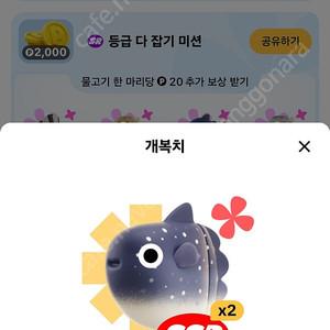 틱톡 개복치,참다랑어 판매합니다